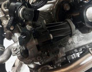 MOTOR COMPLETO FORD FOCUS BERLINA (CEW) XXDC XXDC