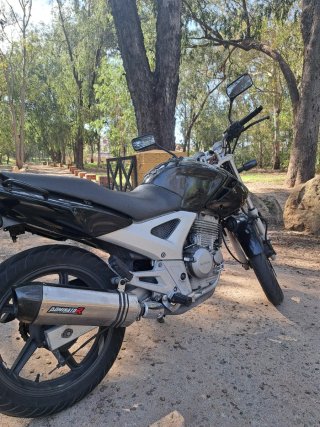 Honda CBF250 Negra