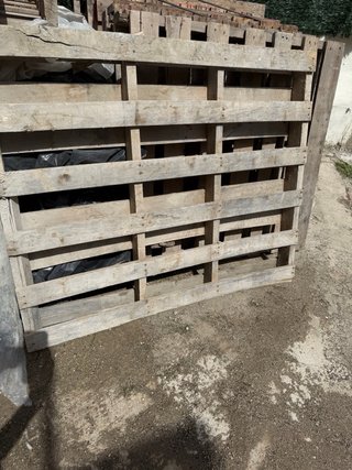 Palets de madera