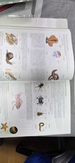 Biología, Geología y Ciencias Ambientales. 1 Ba...