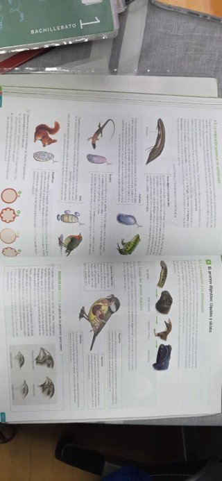 Biología, Geología y Ciencias Ambientales. 1 Ba...