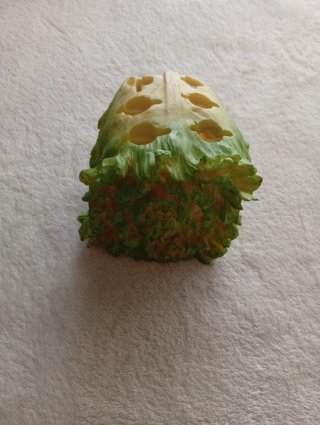 Soporte y 6 cuchillos de untar en forma de lechuga