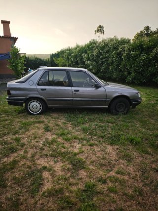 Peugeot 309 1987