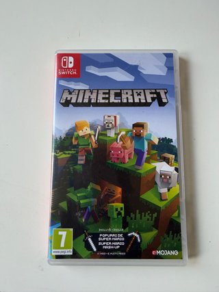 Minecraft Nintendo Switch