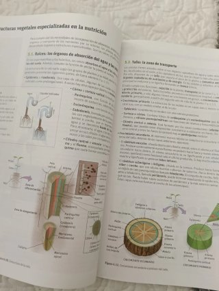 Biología y geología 1bachillerato Savia
