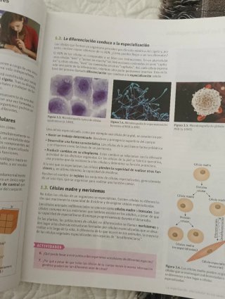 Biología y geología 1bachillerato Savia