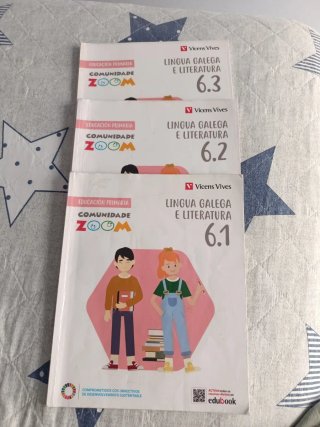 Lingua Galega e Literatura 6, Educación Primari...