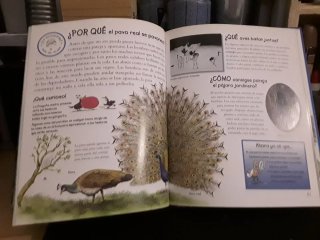 Libro infantil "Los porqués de los animales"