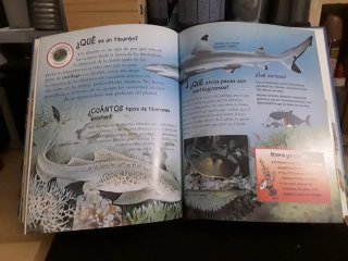 Libro infantil "Los porqués de los animales"