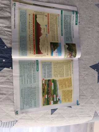 Ciencias sociais, 6 Educación Primaria, Comunid...