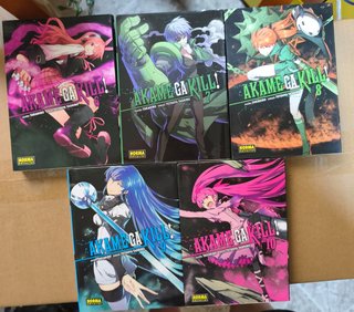 Akame ga Kill! completa 1-15