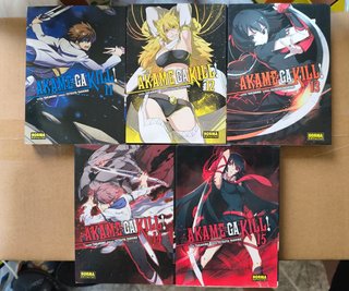 Akame ga Kill! completa 1-15