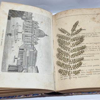 Libro Antico C. Collodi Il Viaggio Per L'Italia