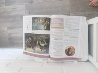 Cultura Clásica : ESO : Código abierto