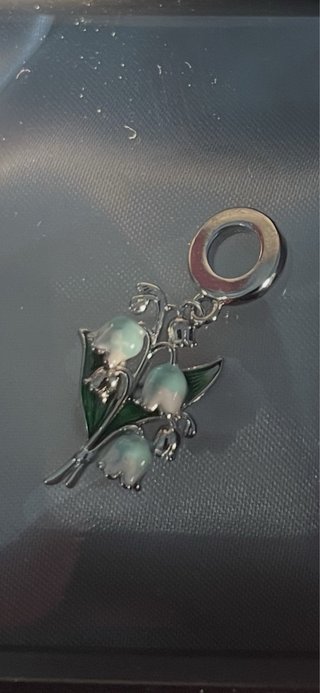 LEED SUPER OFERTA! PACK Charm + Pulsera Plata 925