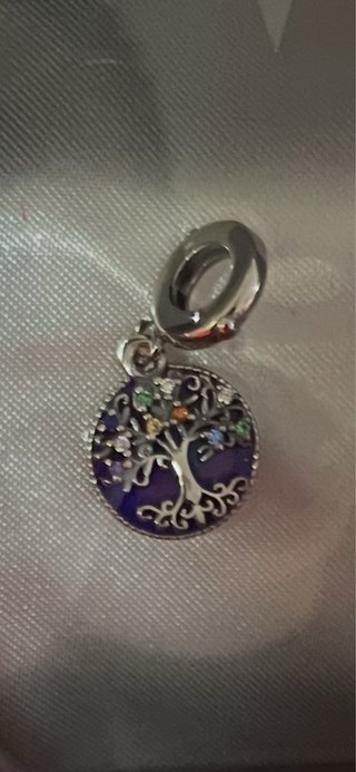 LEED SUPER OFERTA! PACK Charm + Pulsera Plata 925
