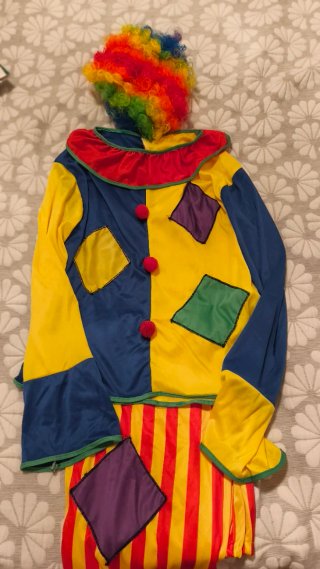 Disfraz Payaso Mujer Talla como una M + Peluca