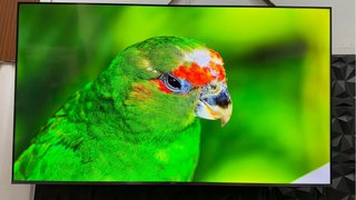 TV Xiaomi 65” 4K QLED
