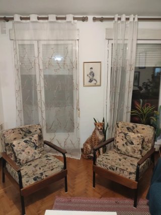 Pareja Sillones Butacas Años 50