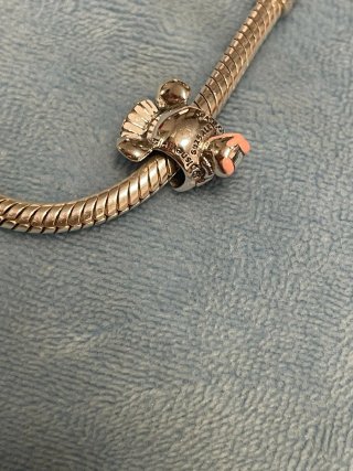 Charm Ratatouille