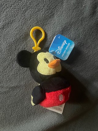 Disney USA Nuevo Solidario