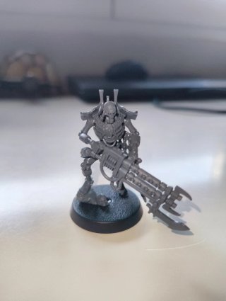Guardia Real Necrones W40k