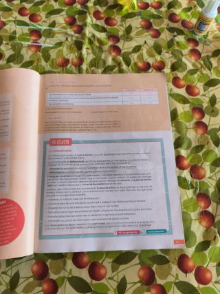 Lengua castellana y literatura 2 Secundaria : R...