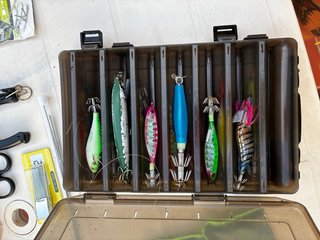 Lotes de pesca: cañas, carretes y señuelos