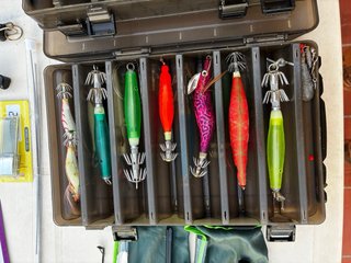 Lotes de pesca: cañas, carretes y señuelos