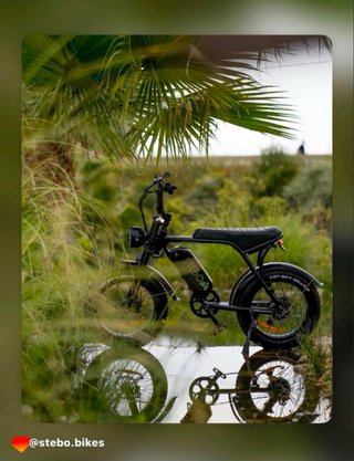 Bicicleta eléctrica FatBike Stebo