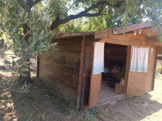 Cabaña/casita madera