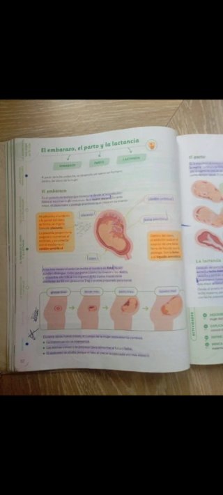 Ciencias de la Naturaleza, 6 Primaria, Proyecto...