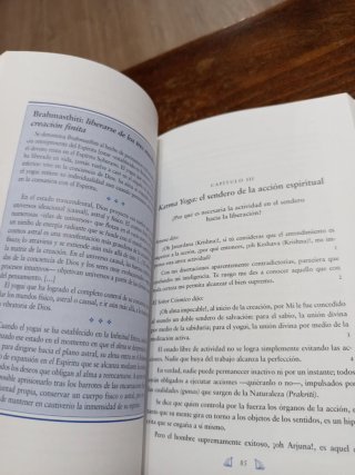 El Yoga del Bhagavad Guita Una Introduccion