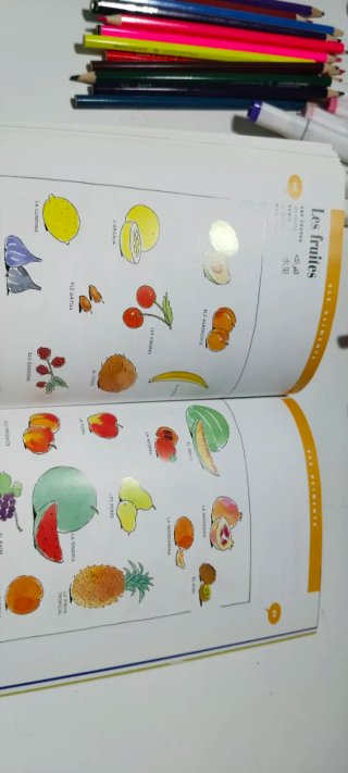 Libro "vocabulari en imatges" de idiomas