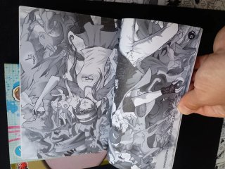 Lote Fanzines Manga