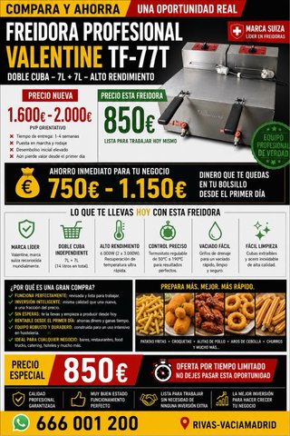 Freidora Profesional Valentine TF-77T Doble Cuba