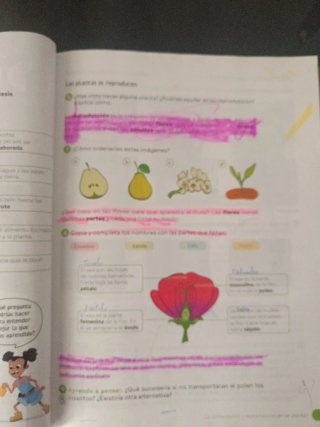 Ciencias de la Naturaleza 4o Primaria : Aragón ...