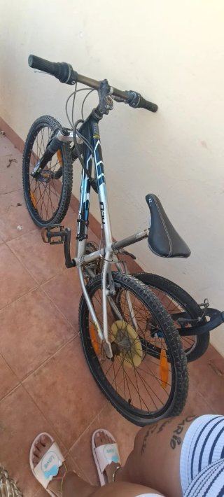Bicicleta