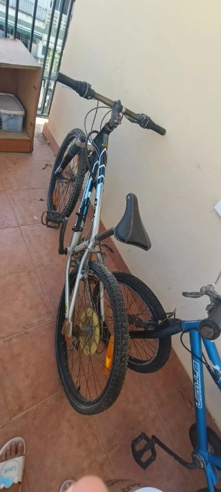 Bicicleta