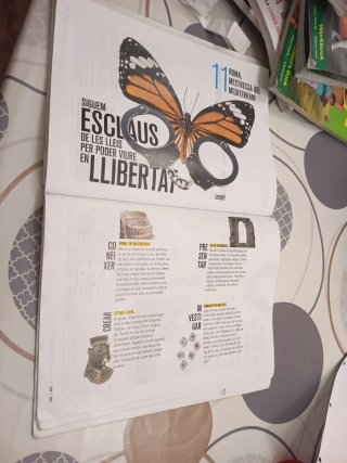 Libro Geografía e historia