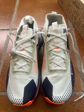 Nike Pegasus Trail 4 GORE-TEX Nuevas