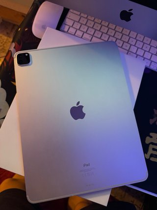 iPad Pro 12.9 2022 (512Gb)