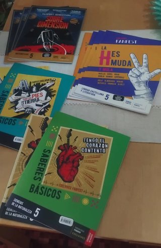 Lote Libros Primaria