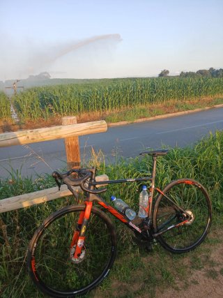KTM Revelator Alto Elite 2019