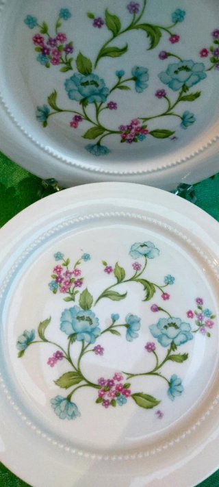 ⚜️ Vajilla Antigua. Porcelana. Bavaria. Eschenbach