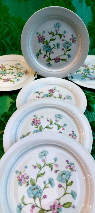 ⚜️ Vajilla Antigua. Porcelana. Bavaria. Eschenbach