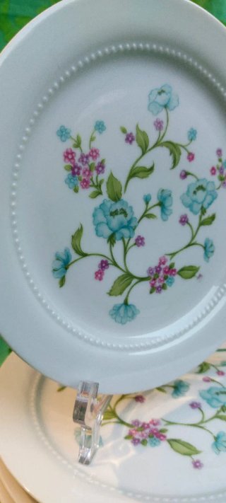 ⚜️ Vajilla Antigua. Porcelana. Bavaria. Eschenbach