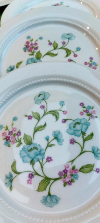 ⚜️ Vajilla Antigua. Porcelana. Bavaria. Eschenbach