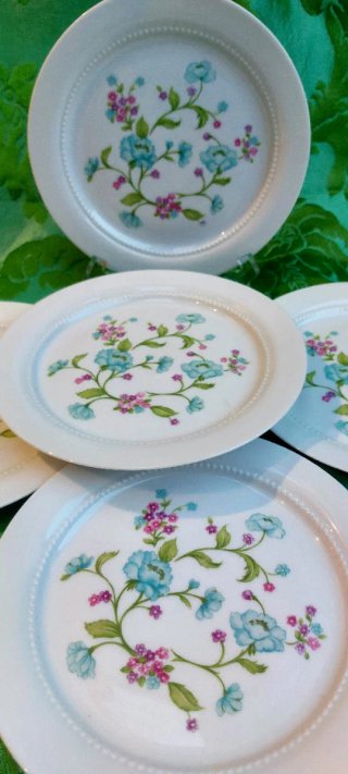 ⚜️ Vajilla Antigua. Porcelana. Bavaria. Eschenbach