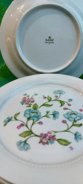 ⚜️ Vajilla Antigua. Porcelana. Bavaria. Eschenbach